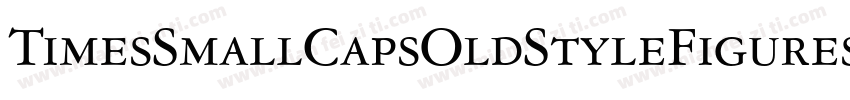 TimesSmallCapsOldStyleFigures Bold字体转换